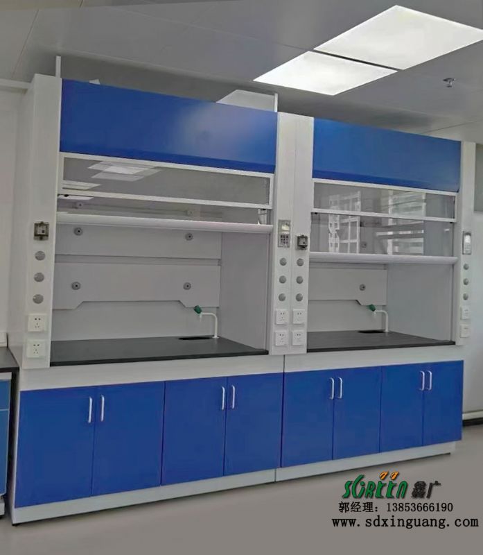 鑫廣實驗室通風柜 全鋼通風櫥柜 排風柜系統
